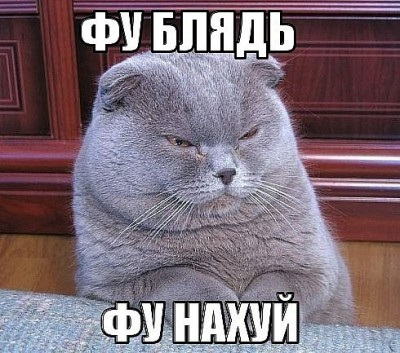 x_5f8c36d1.jpg