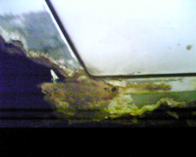 0325_172230.jpg