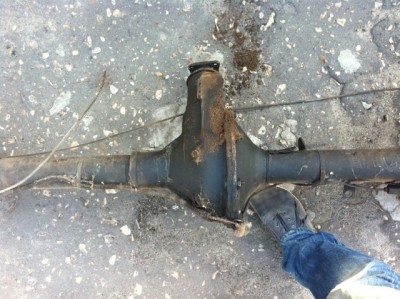 image1.jpeg