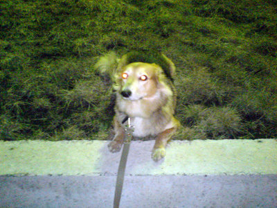 DSC00022.JPG