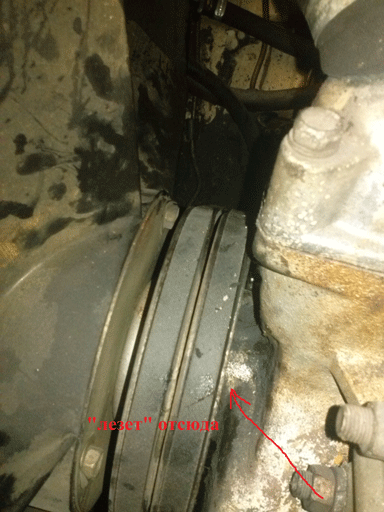 CAM00131.gif