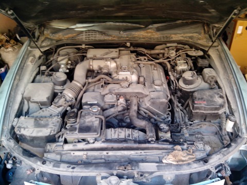 8edeb4s-480.jpg
