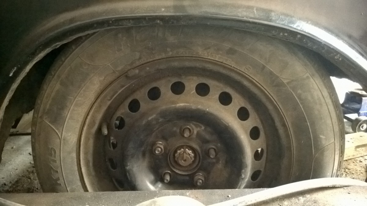 WP_20150217_004.jpg
